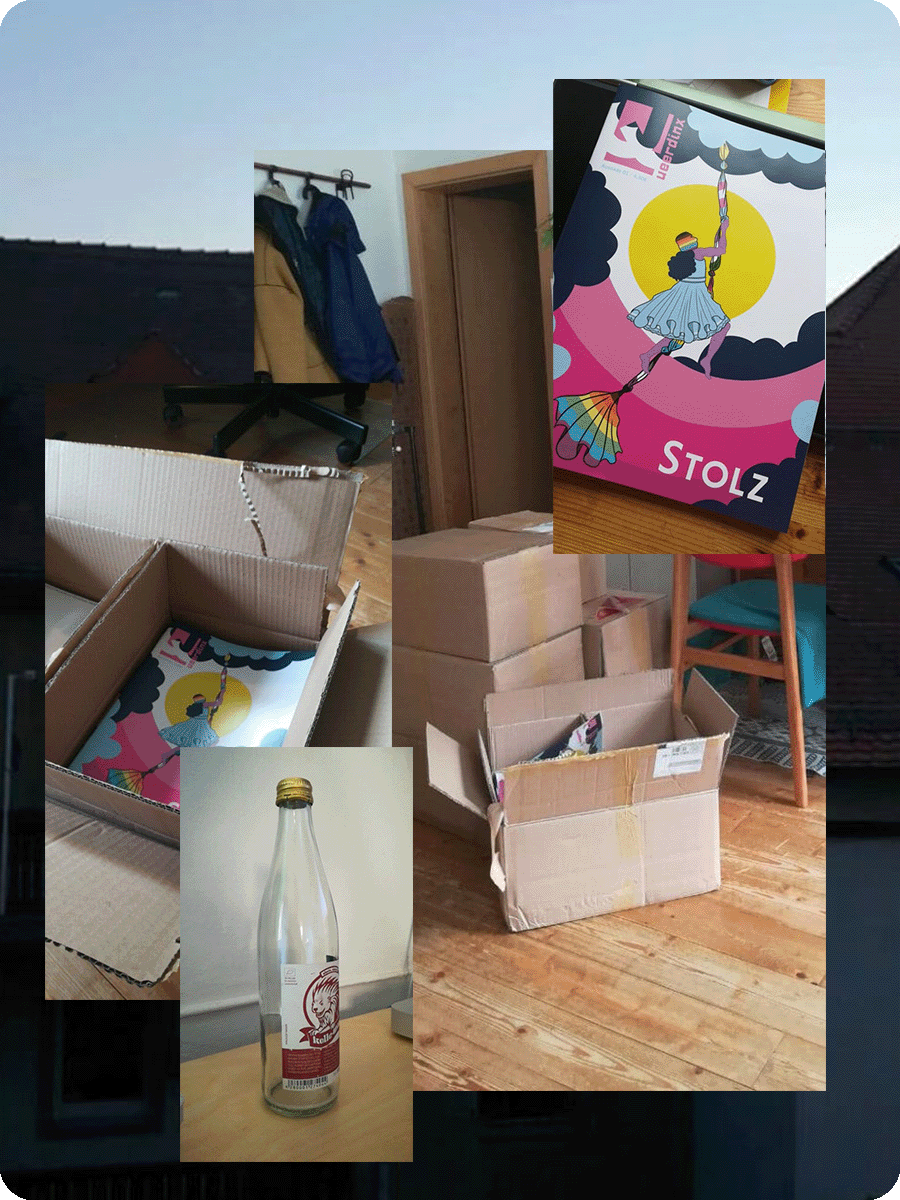 Eine Bildcollage zeigt ein Wohnzimmer voller Pappkisten, ein Bild, wie eine dieser Pappkisten geöffnet ist und man Queerdinx-Magazine darin sehen kann. Außerdem zeigt sie einen Himmel mit Sonnenuntergang sowie eine leere Mate-Flasche.
