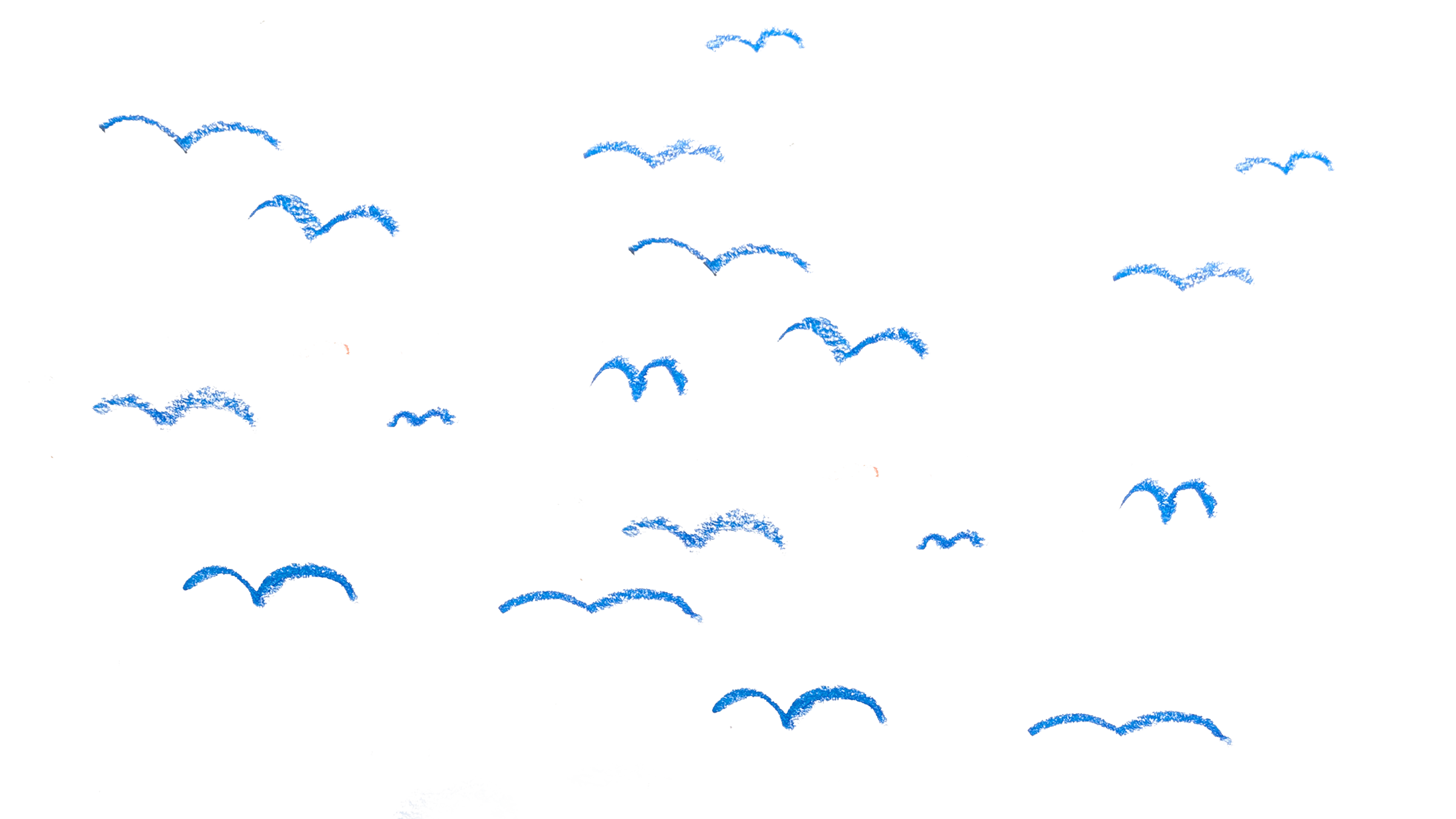 Auf einem weißem Hintergrund sieht man sehr minimalistisch stilisierte Vögel im Flug. Sie sind blau und mit Ölpastellkreide gezeichnet.