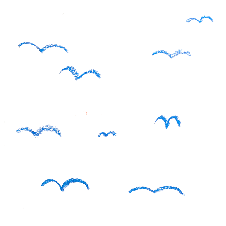 Auf einem weißem Hintergrund sieht man sehr minimalistisch stilisierte Vögel im Flug. Sie sind blau und mit Ölpastellkreide gezeichnet.