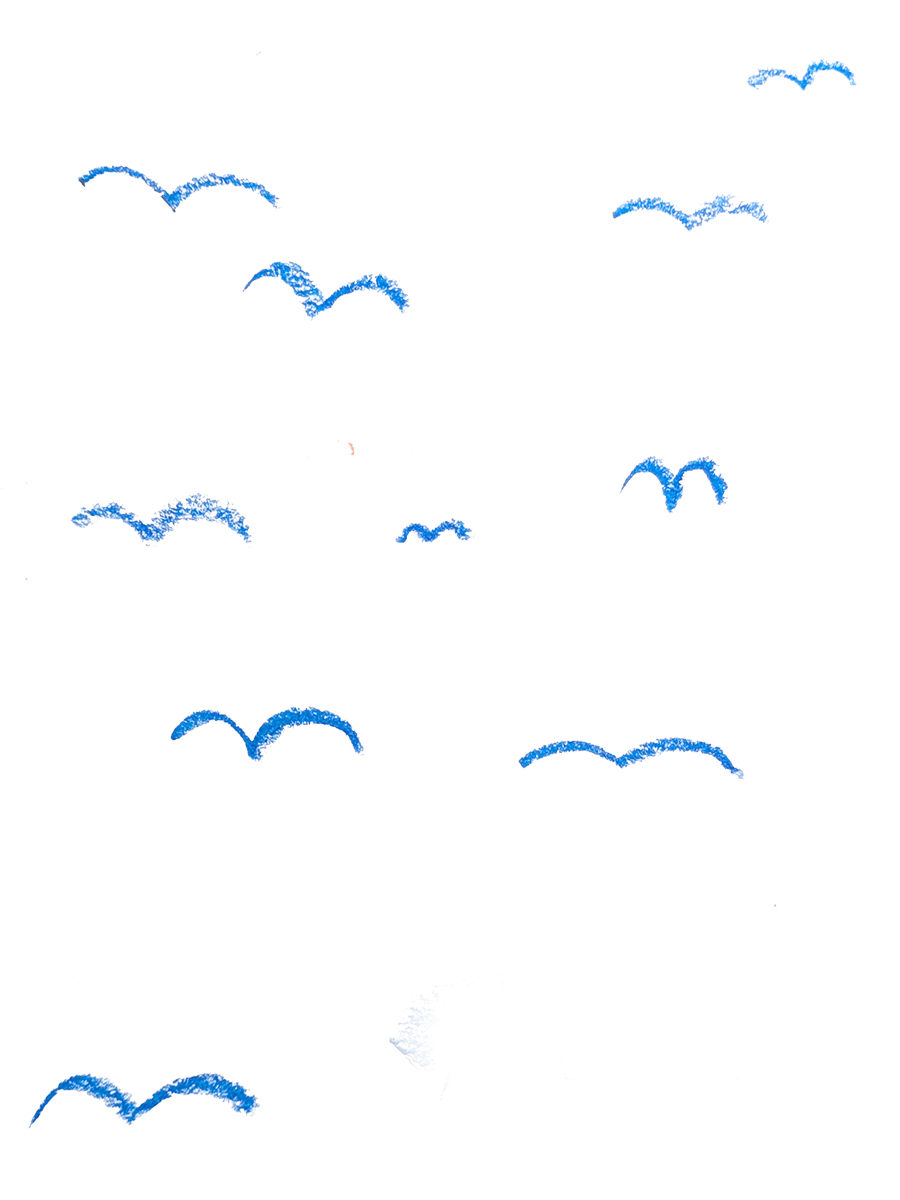 Auf einem transparenten Hintergrund sieht man sehr minimalistisch stilisierte Vögel im Flug. Sie sind blau und mit Ölpastellkreide gezeichnet.